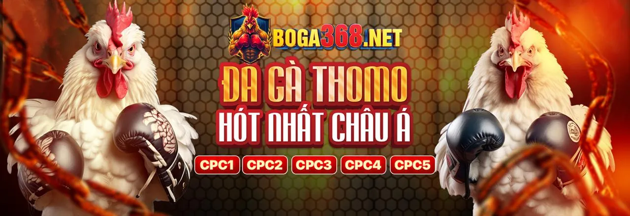 Cá Cược Thể Thao Cwin06 Login